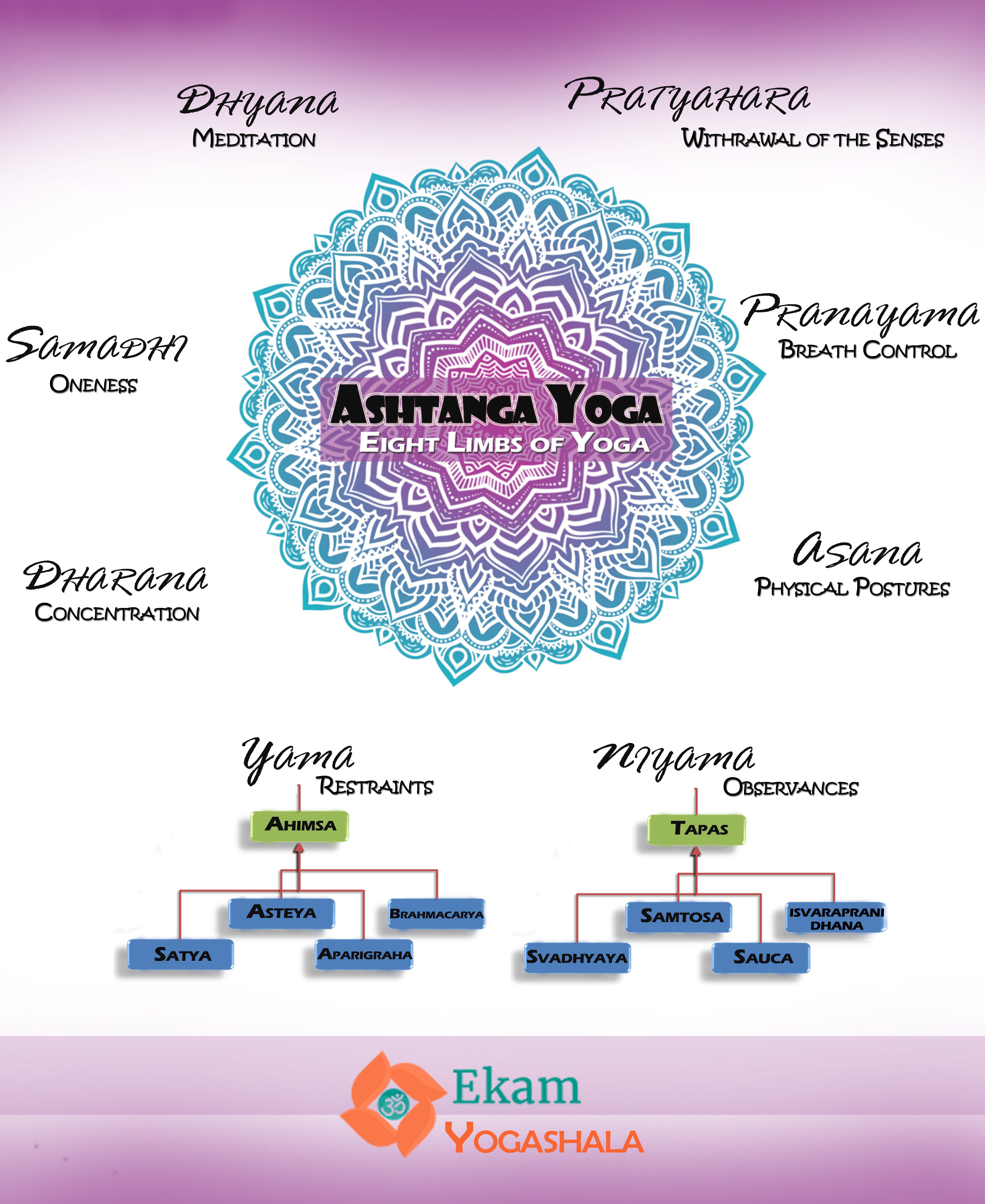 Limbs of Ashtanga Yoga | Ekam Yogashala
