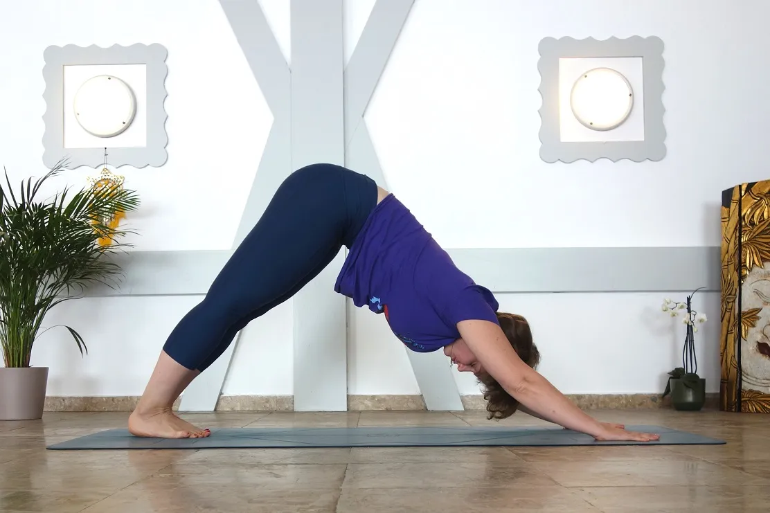 Parvatasana (Mountain Pose)