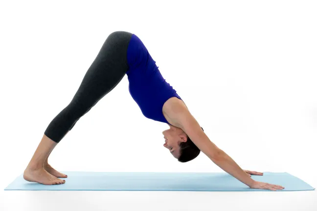 Parvatasana (Mountain Pose)