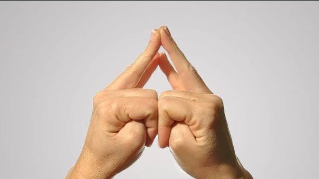 Shakti Mudra (Mudra of Power)