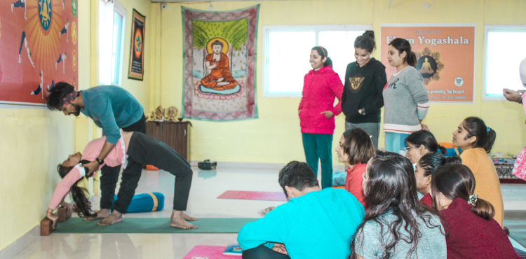 100 hour yoga teacher training in india